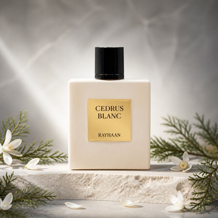Cedrus Blanc — Rayhaan